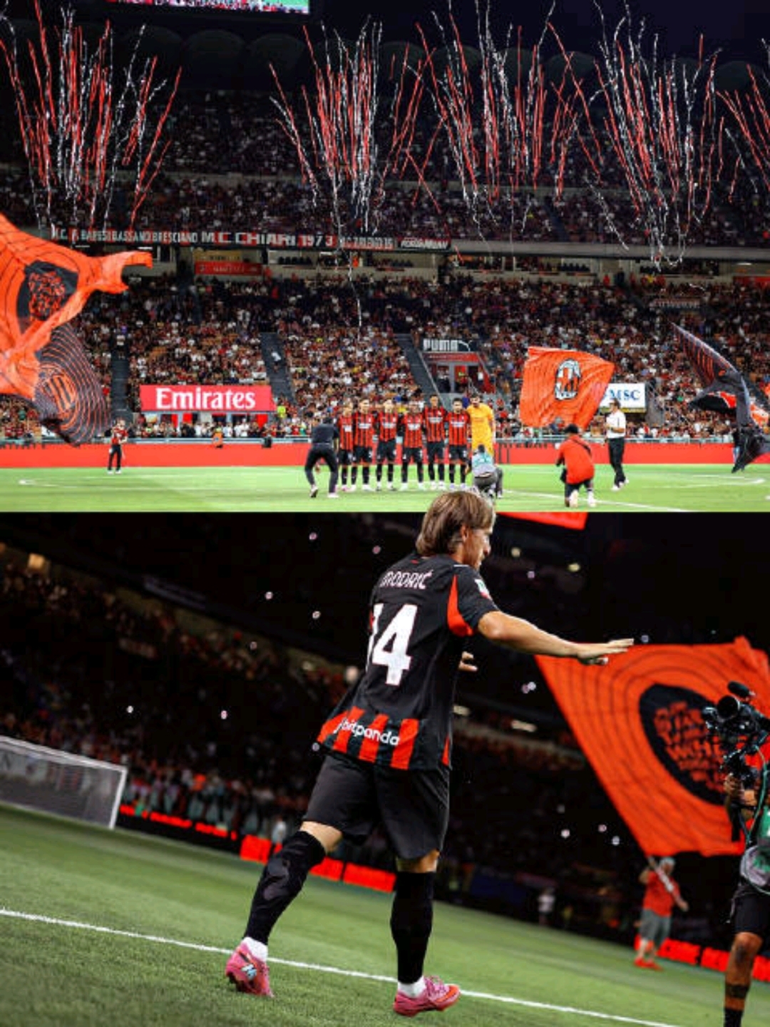 末段爱情付小羽结局